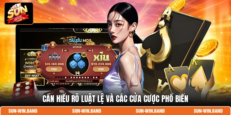 Cần hiểu rõ luật lệ và các cửa cược phổ biến