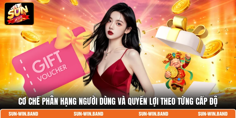 Cơ chế phân hạng người dùng và quyền lợi theo từng cấp độ